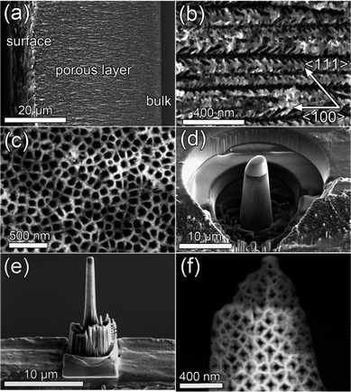 SEM image showing (a) an overview cross-section of the sample (b) the dendritic nature of the main pores at higher magnification and (c) the quasi-regular arrangement of the pores. (d) Pillar shaping of the sample via FIB milling using annular patterns. (e) The pre-cut was transferred on top of a Molybdenum semi-grid using a micromanipulator and thinned further on the edge applying low ion currents. (f) STEM image showing the resulting structure of the sample as used in the tomographic tilt series acquisition.