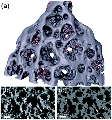 (a) Triangulated surface of the whole reconstruction (red: Fe3O4, grey: Si). (b) A detail of the central slice (xy-plane) of the reconstruction after filtering and (c) segmentation (white: Fe3O4, grey: Si).