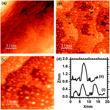 STM images of the γ-Fe2O3 (2 × 2) surface after deposition of Au. The majority of particles are in the range of 1 to 3 nm in diameter with larger particles being up to 4 nm. The particle size distribution is summarised in Fig. 4.