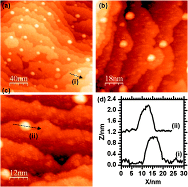 STM images of the γ-Fe2O3 (2 × 2) surface after deposition of Au and subsequent heating to 573 K for 1 minute.
