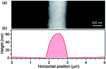 (a) Atomic force microscopy image and (b) height profile of a light-emitting fiber made by NF-ES.