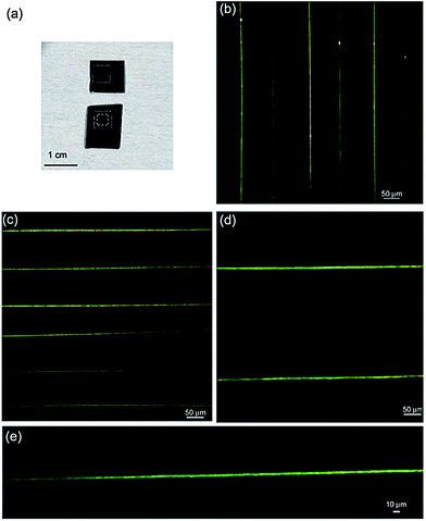 (a) Pictures of the fiber arrays realized by NF-ES. The dashed box highlights the region with nanofibers. (b)–(d) Confocal fluorescence micrograph of an array of emitting nanofibers made by NF-ES. (e) Single fiber confocal fluorescence image.