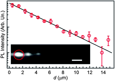 Normalized PL intensity guided by a single fiber as a function of distance, d, from the excitation spot. The continuous line is a fit to the data by an exponential decay I = I0exp(−αd), where α is the optical loss coefficient. Inset: fluorescence micrograph of a MEH-PPV fiber. The PL is excited by a focused laser (red circle) and a part of emitted light is coupled into the fiber. Scale bar = 2 μm.