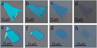 Optical microscopy images of the pristine (a, e), and thermal annealed MoS2 flakes (b–d) and (f–h). From (b) to (d), the annealing times are 2 hours, 4 hours and 7 hours. From (f) to (h), the annealing times are also 2 hours, 4 hours and 7 hours.