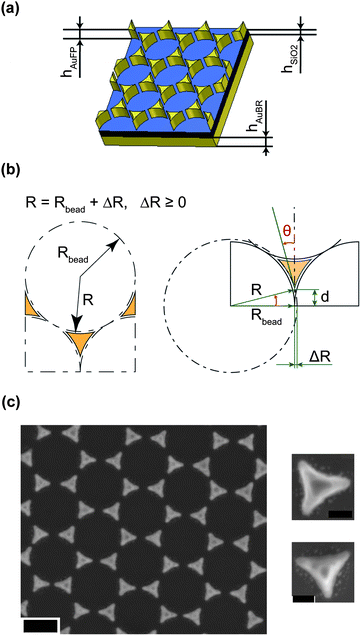 Geometry of the proposed absorber. (a) Schematic representation of the MIM absorber consisting of a gold back reflector, a SiO2 dielectric spacer, and a patterned gold front layer with thicknesses hAuBR, hSiO2, and hAuFP, respectively. (b) Definition of the in-plane geometrical parameters of the front gold pattern: Rbead is the radius of the spherical beads used in the NSL, and R is defined as the radius of curvature of the pattern. ΔR represents the difference between R and Rbead and can be adjusted in the fabrication. 2θ and 2d are the tip tapering angle and the distance between two neighboring tips, respectively. (c) Left: top-view scanning electron micrograph of a fabricated structure. Scale bar is 200 nm. Right: magnified top views of single tapered triangles. Scale bars are 50 nm.