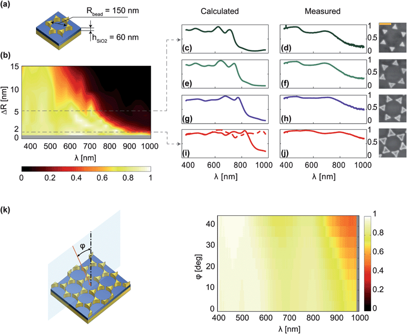 Measured and calculated absorption spectra of the absorbers. (a) Schematic representation of a unit cell of the absorber. In all studied cases Rbead and hSiO2 are kept constant while ΔR is varied. (b) Simulated absorption plotted as a function of wavelength λ and ΔR. The absorption bandwidth is very large for small positive ΔR's. Simulations for ΔR between 0 nm and 1 nm turned out to be very challenging and beyond our capabilities (gray area). (c–j) Calculated (left column) and measured (right column) absorption spectra for different values of ΔR; from top to bottom: ΔR = 6 nm (c and d), 4 nm (e and f), 3 nm (g and h), 2 and 1 nm (i and j). The spectral response for the case of small ΔR becomes very sensitive to slight changes in this value. Therefore, the ultra-broadband absorption behavior observed in (j) can be viewed as the result of a superposition of different cases with slightly different ΔR values, two typical values of which are calculated in (i): solid (ΔR = 2 nm) and dashed (ΔR = 1 nm) lines. The SEM pictures on the right show unit cells of the fabricated structure for each case. Scale bar is 200 nm. (k) Left: schematic drawing of the absorber with light incident at an angle φ. Right: experimentally measured absorption plotted as a function of wavelength λ and angle of incidence φ. The objective used for excitation (NA = 0.75) allowed excitation angles up to φ = 48°.