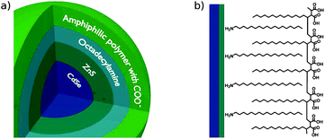 Schematic showing the structure of bare QDs (a) and the chemical structure of the organic layer (ODA and amphiphilic polymer) on the surface of a QD.