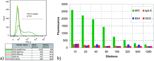 Comparison of flow cytometry results (fluorescence intensity distribution) for the adhesion of all four particle types to HT-29 cells. (a) Fluorescence intensity distribution at 80× dilution. (b) Comparison of the mean fluorescence intensity at several dilutions.