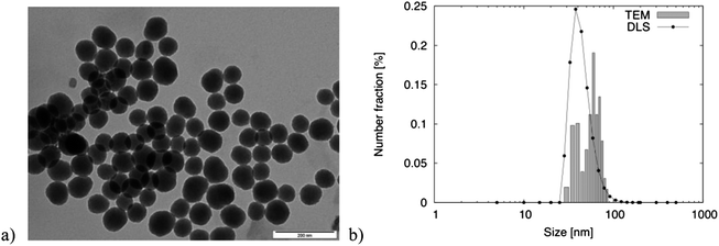 SiO2 nanoparticles: (a) TEM image (the scale bar represents 200 nm) and (b) size distribution obtained by DLS and TEM.