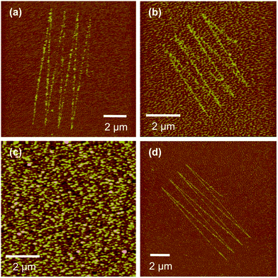 FFM images of structures fabricated by scratching in SAMs of ODPA on aluminium oxide at load forces (a and b) 630 nN and (d) 1.16 μN and subsequent immersion of the sample in 1 mM solutions of 4-aminobutylphosphonic acid (a and d) and 16-phosphono-hexadecanoic acid (b). (c) shows an AFM topographical image of the area shown in (b).