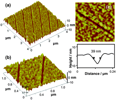 AFM topographical images of nanostructures formed by nanoshaving SAMs of ODPA under a load force of 1 μN followed by immersion in a 1 mM solution of 4-aminobutylphosphonic acid.