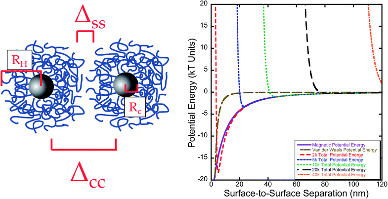 DLVO modeling of particle series based upon the total potential energy of each system. RH is the hydrodynamic radius, Rc is the nanoparticle core radius from TEM, ΔCC is the core-to-core separation distance, and ΔSS is the surface-to-surface separation. For these samples, the polymer layer does not provide sufficient steric repulsion to overcome magnetic and van der Waals attractive forces until 20 000 Da molecular weight.