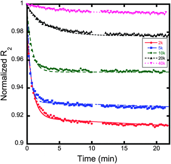 Graph of normalized R2versus time for varying polymer coated magnetite nanoparticles. The amount of time dependence for each sample decreases as a function of increasing molecular weight. The decay rate for each sample was fit using a biexponential decay function, as displayed in eqn (1). The weighted decay rates are presented in Fig. 8.