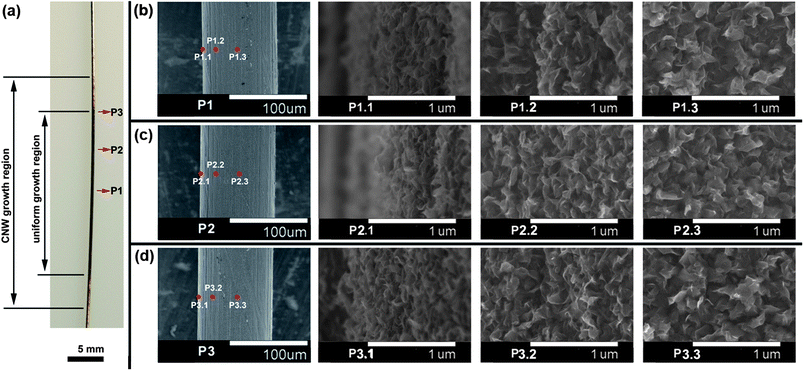 (a) Optical image of the stainless steel wire after 3 min ‘dynamic mode’ VG synthesis in a modified dc normal glow PECVD system; (b–d) SEM images of the deposits at three locations in the uniform growth region. Reprinted with permission from ref. 129. Copyright 2011 American Institute of Physics.