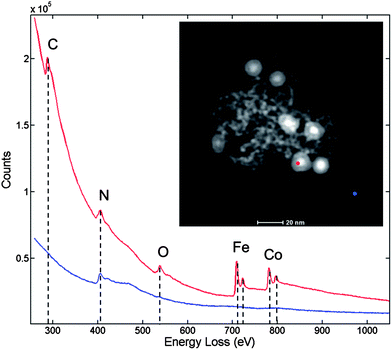 EELS point spectra (from a plasma cleaned sample) of the Si3N4 thin film coating the microscope grid (blue spot and line) and of the interface of the core and shell of a core@shell particle (red). It can be clearly seen that carbon is present within the particle despite plasma cleaning.