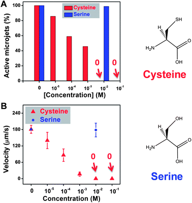 Presence of cysteine molecules in the running solution can significantly reduce the motion of the rolled-up microjets. (A) More than half of the jets stopped running at 0.001 M of cysteine concentration, and no more motion could be observed when the concentration increased to 0.01 M. Nearly 100% of the jets were found running in serine-containing solution; (B) significant reduction in speed was observed for the jets, from ∼180 μm s−1 without cysteine to ∼16.7 μm s−1 at 0.001 M concentration of cysteine. The velocity remained at ∼180 μm s−1 for jets running in serine-containing solutions at 0.001 M concentration. Tracking data were obtained for a timescale of 10 seconds from 5 independent running experiments in order to obtain the average speed.