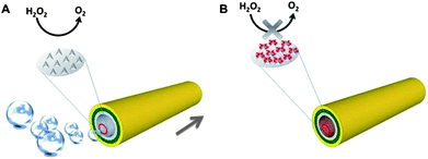 Poisoning of Pt-catalyst microjets with small molecules containing sulphur. (A) In the absence of the Pt-poisoning molecules, robust decomposition of H2O2 takes place in the tubular cavity, which is catalysed by the Pt surface of the cavity; (B) in the presence of Pt-poisoning molecules, the decomposition reaction is quenched or inhibited to a certain degree, fewer or no oxygen bubbles could be generated, leading to a lower or zero speed of the microjets.