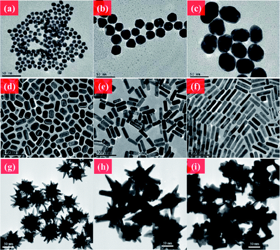 TEM images of Au NMs. (a–c) Au NPs in different sizes. (d–f) CTAB-coated Au NRs with different aspect ratios. (g–i) Au nanourchin with different morphologies. Reprinted from ref. 176 with permission. Copyright (2011) American Chemical Society. Reprinted from ref. 122 with permission. Copyright (2010) Elsevier. Reprinted from ref. 20 with permission. Copyright (2012) Royal Society of Chemistry.