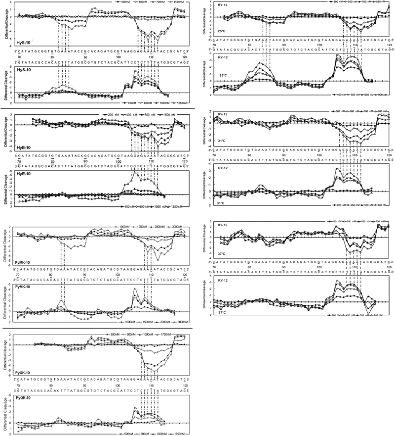 Differential cleavage plots comparing the susceptibility of DNA fragments to DNase I cleavage after incubation with each peptide in cacodylate buffer at room temperature for 60 min. The upper traces represent the differential cleavage plot for a given peptide bound to the 5′-[32P]-labeled upper strand (158-mer) DNA fragment; the lower traces represent the corresponding plots for the 5′-[32P]-labeled lower strand (135-mer) DNA fragment. Vertical dotted lines between DNA bases represent the assignment of interstrand bidentate interactions where significant coincident H-bonding interactions occur between complementary bases in both strands. The incubation temperature for peptides HyS-10, HyE-10, PyMK-10 and PyQK-10 was 37 °C, whereas the incubation temperatures for peptide YR-12 were as stated.