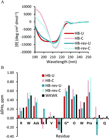 (A) Circular dichroism spectra for hydrogen bonded position peptides. 50 μM peptide in 10 mM sodium phosphate buffer, pH 7.4. (B) Chemical shift differences of Hα for hydrogen bonded position peptides. Values for Gly* are glycine splitting values. TOCSY data were acquired with peptide concentrations at 1 mM in 50 mM KD2PO4, pH 7 buffer at 20 °C.