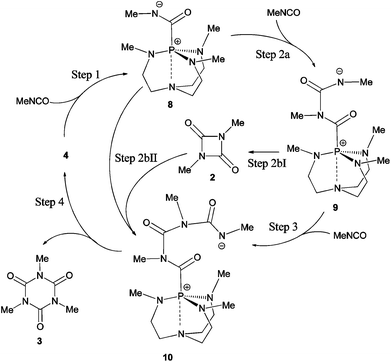 Proposed nucleophilic catalysis stepwise mechanisms for cyclo-oligomerisation of methyl isocyanate by proazaphosphatrane 4.