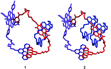 Schematic representation (MM+ modeling) of the [2] and [3]catenane (1 and 2 respectively) in which each of the components is colored for clarity (3 in red, 4 in blue and 5 in purple).