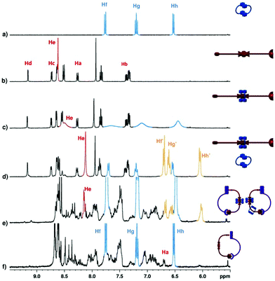 Partial 1H NMR spectra (400 MHz, CD2Cl2) of: (a) crown 4 at 298 K; (b) NDI 3 at 298 K; (c) NDI 3 in a saturated solution of crown 4 at 298 K; (d) same sample as in spectrum c, at 195 K; (e) NDI 3 in a saturated solution of crown 4, with one equivalent of Ru-5 and one equivalent of Fe(BF4)2 (added as a CD3OD solution) at room temperature; (f) pre-formation of 6 before the addition of crown 4 (at 298 K).