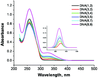 UV-Vis spectra of SNS linked DNA duplexes in buffer solution. The number of SNS monomers = 0–6. Inset: The spectra of the SNS groups mathematically deconvoluted from the DNA absorption bands.