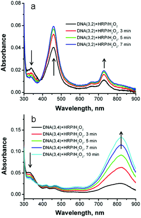 (a) UV-Vis spectra of SNS-containing duplex DNA(3,2) at various times after the addition of HRP/H2O2. (b). DNA(3,4).