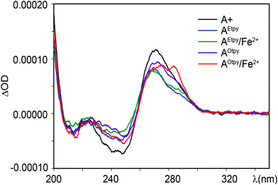 CD-spectra of natural and tpy-modified DNA duplexes prepared from DNA3 in the absence or presence of Fe2+ ions.