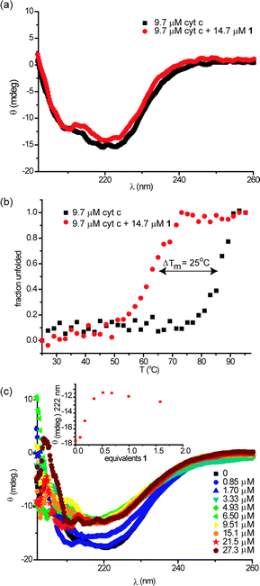 Perturbations to secondary structure of cyt c in the presence of 1 (5 mM sodium phosphate, pH 7.4), (a) circular dichroism spectra of cyt c (9.7 μM) in the absence and presence of 1 (14.7 μM) at 25 °C, (b) thermal melting profiles of samples from (a) and (c) circular dichroism spectrum of 9.6 μM cyt c upon titration with 1 at 70 °C (inset: illustrates titration curve).