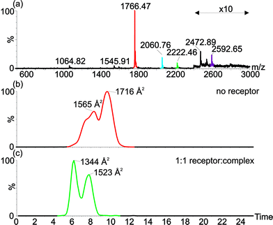 Electrospray ionisation-ion mobility spectrometry-mass spectrometry shows changes in average collision cross-sectional area of cyt c in presence and absence of the receptor indicating that the receptor can bind to multiple conformations of cyt c. (a) ESI-MS of cyt c in presence of 1 equivalent of receptor, shows receptor binding to the +7 (red-unbound; green-receptor bound) and +6 (blue-unbound; purple-receptor bound) charge states. Extracted ion mobility chromatograms show collisional cross-sectional areas for (b) the +7 charge state signals for unbound (red) and receptor bound (green) cyt c.
