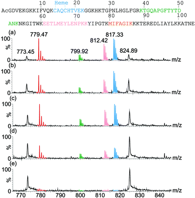 ESI-MS spectra of proteolysis samples after 1200 min digestion showing different rates of digestion of cyt c in the presence of (a) 2 equivalents of receptor, (b) 1 equivalent of receptor, (c) 0.2 equivalents of receptor and (d) no receptor. A control containing no trypsin and no receptor was also analysed (e). Tryptic peptide signals in the MS are colour coded corresponding to their sequence in the protein (top).