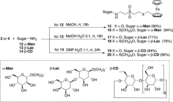 Synthesis of Fc–sugar and Fc–cyclodextrin conjugates.