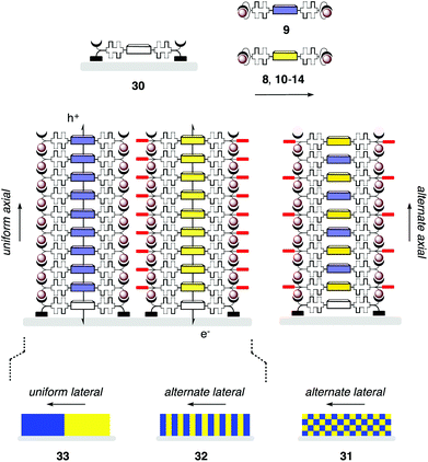 Co-SOSIP on uniform initiators can occur randomly or with alternate (31) as well as uniform axial self-sorting. Alternate lateral self-sorting with the latter results in SHJ architectures (32), uniform lateral and axial self-sorting in microdomains (33).