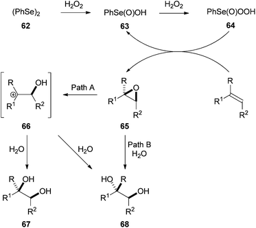 Proposed mechanism for the diphenyl diselenide catalysed dihydroxylation.