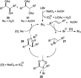 Proposed catalytic cycle for hypervalent iodine mediated Woodward–Prévost dihydroxylation.
