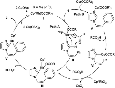 Plausible reaction pathways of rhodium-catalyzed oxidative cross-coupling.