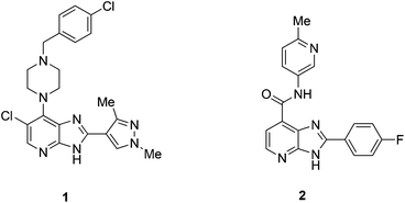 Example imidazo[4,5-b]pyridines of potential therapeutic interest.