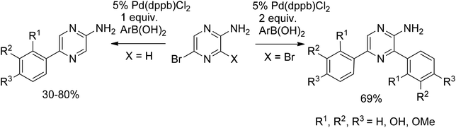 Arylation of aminobromopyrazine and aminodibromopyrazine.