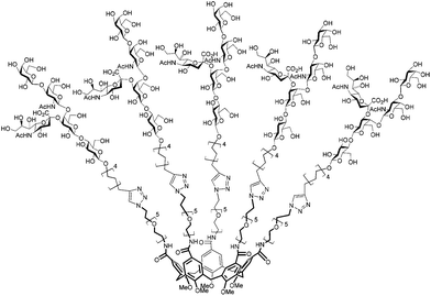 Developed CTB inhibitor: penta-GM1os-calix[5]arene (1).