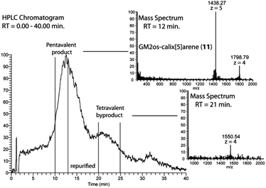 
          LCMS trace of the purification of GM2-calix[5]arene 11. (left) Chromatogram of the purification on a reversed phase column (see experimental section for details). (right) Mass spectra for two fractions, the pentavalent product 11 at RT = 12 min, and the tetravalent byproduct at 21 min.