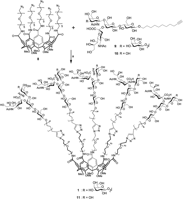 Synthesis of GM1os-calix[5]arene (1) and GM2os-calix[5]arene (11); (a) CuSO4·5H2O, sodium ascorbate, Triton X-100, CH3OH, H2O, MW (150 W), 80 °C, 1 h; 51% 1, 59% 11.