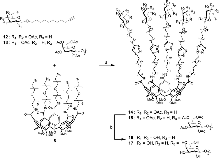 Synthesis of galactoside-calix[5]arene (16), and lactoside-calix[5]arene (17); (a) CuSO4·5H2O, sodium ascorbate, DMF, H2O, MW (150 W), 80 °C, 1 h; 67% 14, 57% 15; (b) NaOMe–MeOH, 4 h – 18 h, H+-resin; 90% 16, 72% 17.