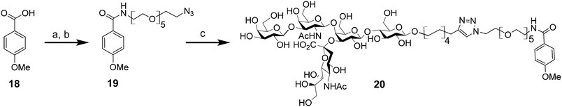 Synthesis of GM1-monomer 20; (a) (COCl)2, dry CH2Cl2, N2, rt, 18 h; (b) 7, Et3N, dry CH2Cl2, N2, rt, 20 h; 20% in two steps; (c) 9, CuSO4·5H2O, sodium ascorbate, Triton X-100, CH3OH, H2O, MW (150 W), 80 °C, 1 h; 49% 20.