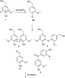 Previously found products from the laccase-catalyzed oxidation of vanillyl alcohol.18,19,24