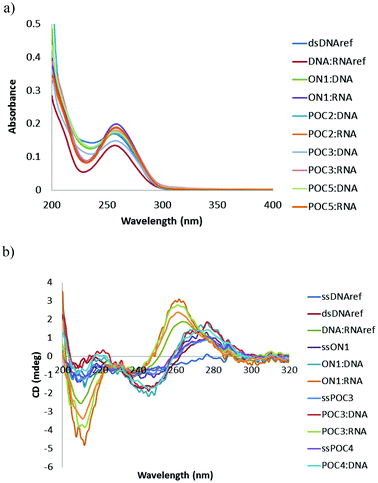 Representative UV-Vis (a) and CD spectra (b) of POCs and reference oligonucleotides/duplexes. The spectra were recorded in a medium salt buffer at 19 °C using 2.0 μM concentration of complementary strands.