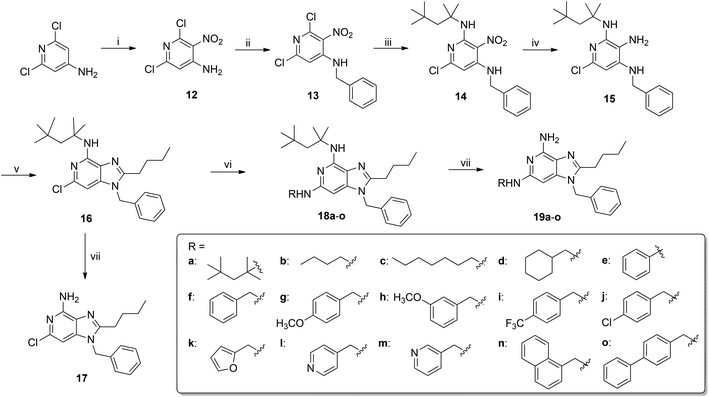 Reagents: (i) a. H2SO4, HNO3; b. H2SO4; (ii) BnBr, NaH, THF; (iii) t-Octylamine, NEt3, CH2Cl2; (iv) Zn, HCOONH4, MeOH; (v) a. C4H9COCl, NEt3, THF; b. NaOH, EtOH; (vi) RNH2, Pd2(dba)3, DavePhos, KOtBu, dioxane; (vii) HCl.