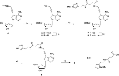 Synthesis of modified dAHsTP 1. Reagents and conditions: (i) DMTrCl, pyridine, rt, 15 h, 75%; (ii) NaOH, MeOH, H2O, rt, 12 h, 84%; (iii) S2, EDC, HOBt, NMM, DMF, rt, 12 h, 64%; (iv) Ac2O, DMAP, NEt3, pyridine, 0 °C, 2.5 h, 86%; (v) DCAA, CH2Cl2, rt, 40 min, quant.; (iv) 1. 2-chloro-1,3,2-benzodioxaphosphorin-4-one, pyridine, dioxane, rt, 45 min; 2. (nBu3NH)2H2P2O7, DMF, nBu3N, rt, 45 min; 3. I2, pyridine, H2O, rt, 30 min; 4. NH3(aq.), rt, 1.5 h, 17% (4 steps).
