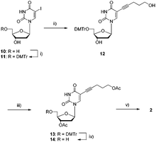 Synthesis of modified dUPOHTP 2. Reagents and conditions: (i) DMTrCl, pyridine, rt, 12 h, 93%; (ii) 4-pentyn-1-ol, Pd(PPh3)4, CuI, NEt3, DMF, rt, 12 h, 91%; (iii) Ac2O, DMAP, NEt3, pyridine, rt, 12 h, 86%; (iv) DCAA, CH2Cl2, rt, 40 min, 87%; (v) 1. 2-chloro-1,3,2-benzodioxaphosphorin-4-one, pyridine, dioxane, rt, 45 min; 2. (nBu3NH)2H2P2O7, DMF, nBu3N, rt, 45 min; 3. I2, pyridine, H2O, rt, 30 min; 4. NH3(aq.), rt, 1.5 h, 14% (4 steps).